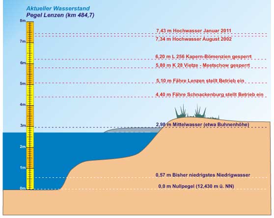 Grafik aktueller Pegel Elbe